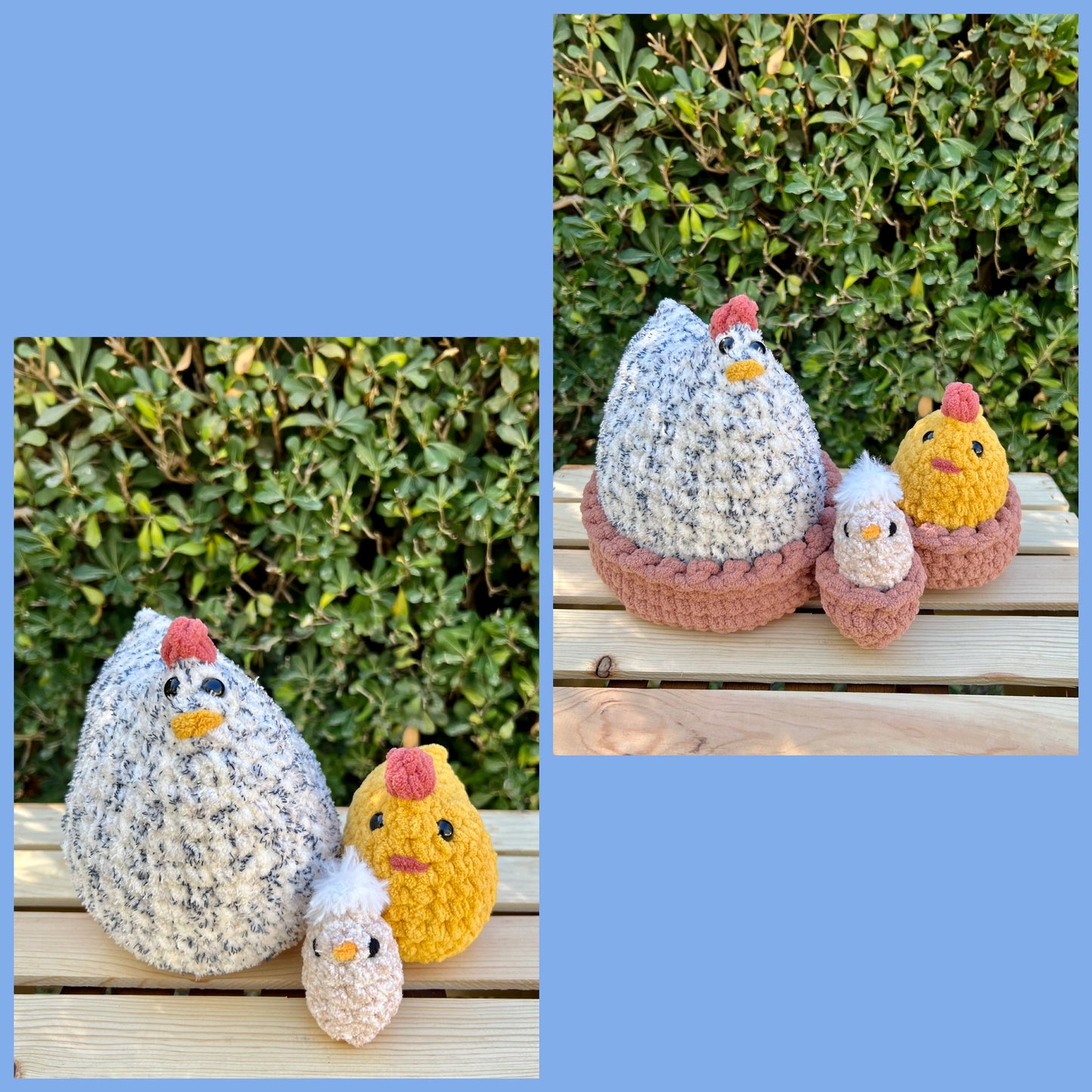 Baby Chick with or without nest