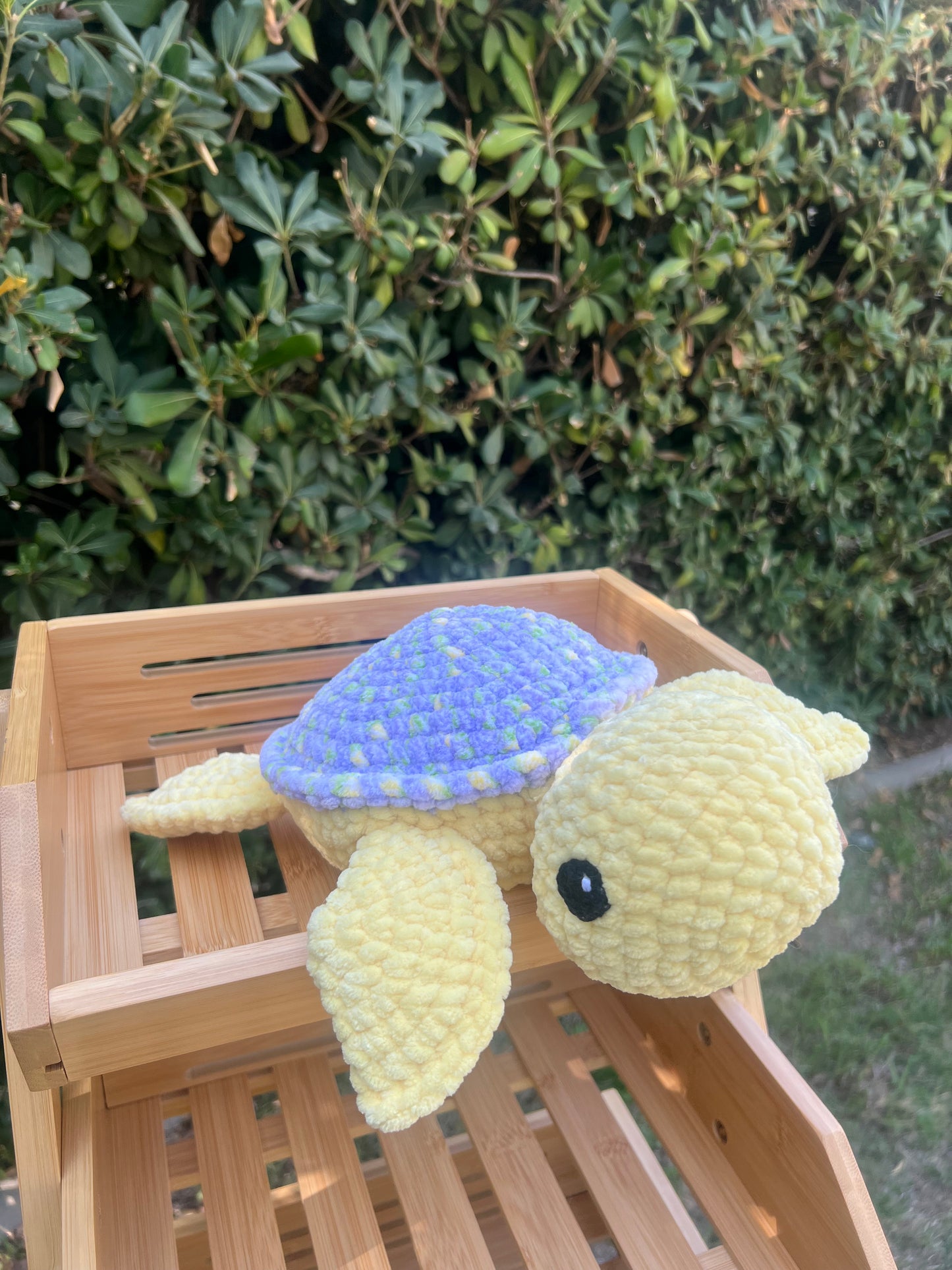 Turtle