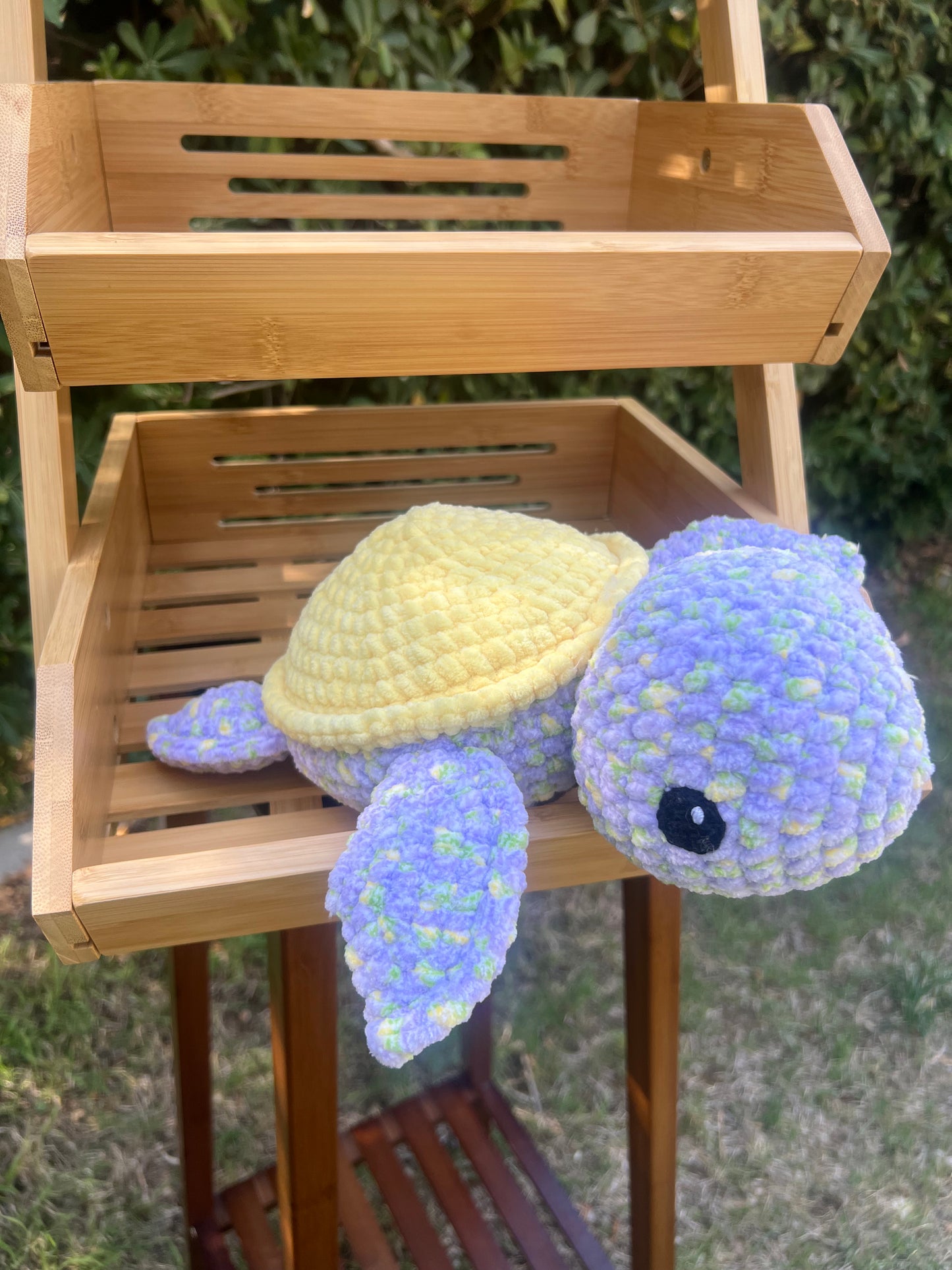 Turtle