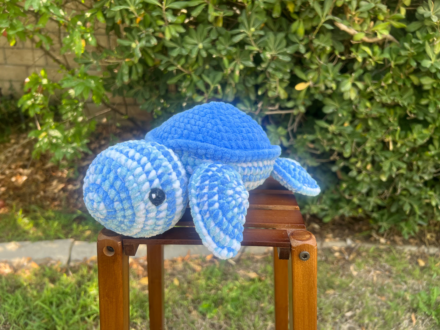 Turtle