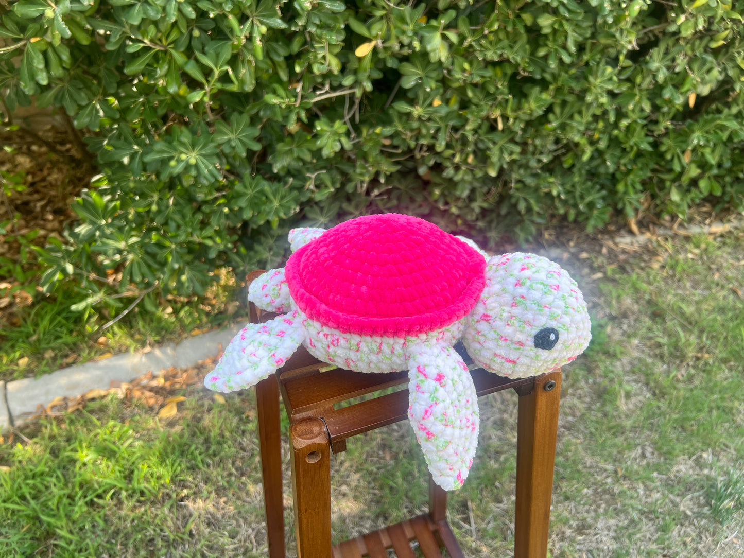 Turtle