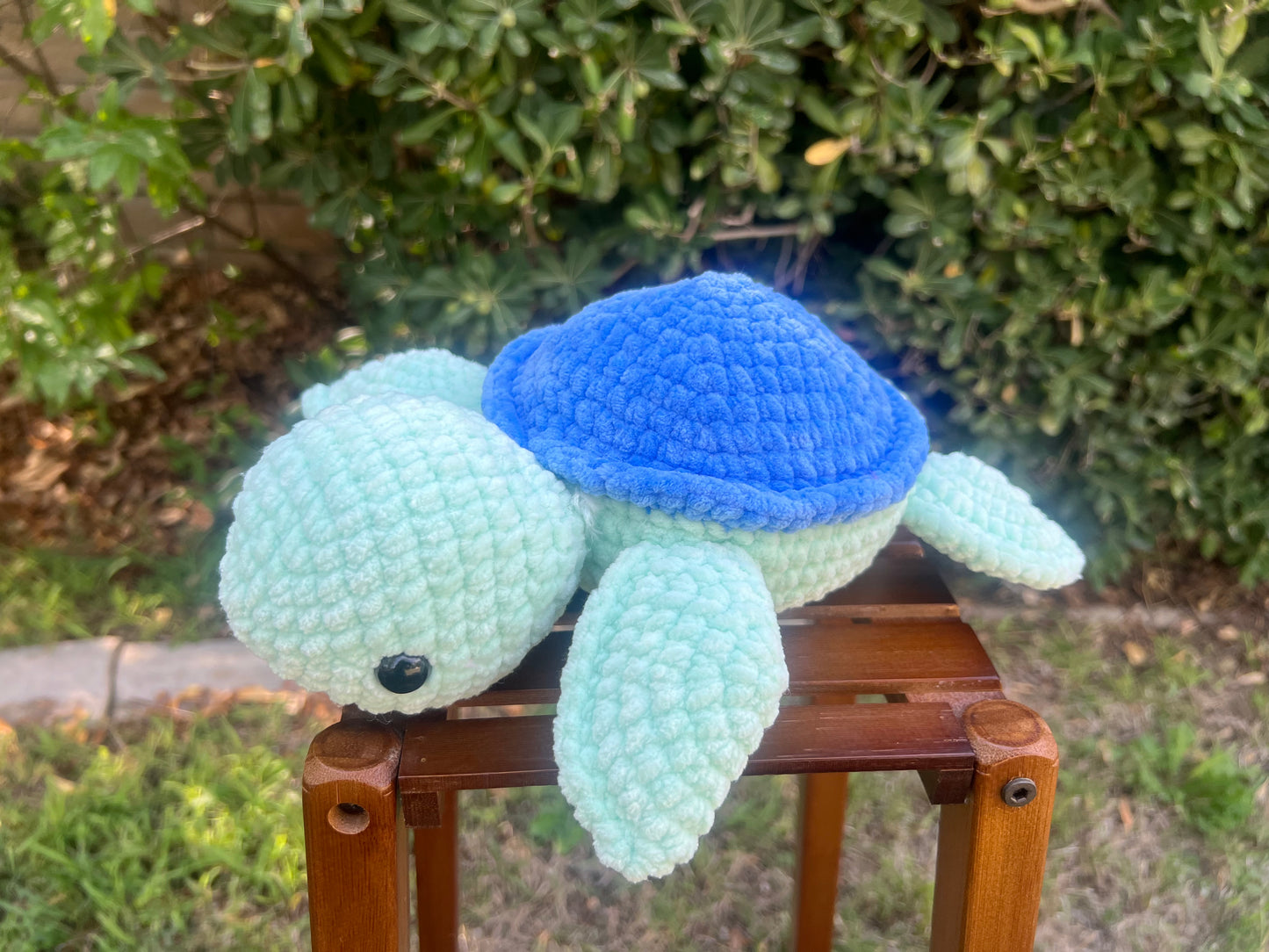 Turtle