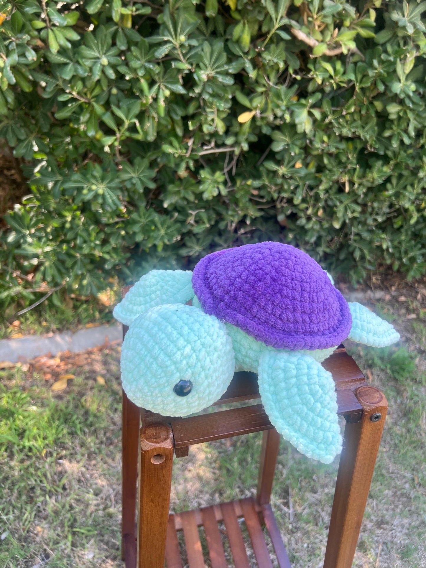 Turtle