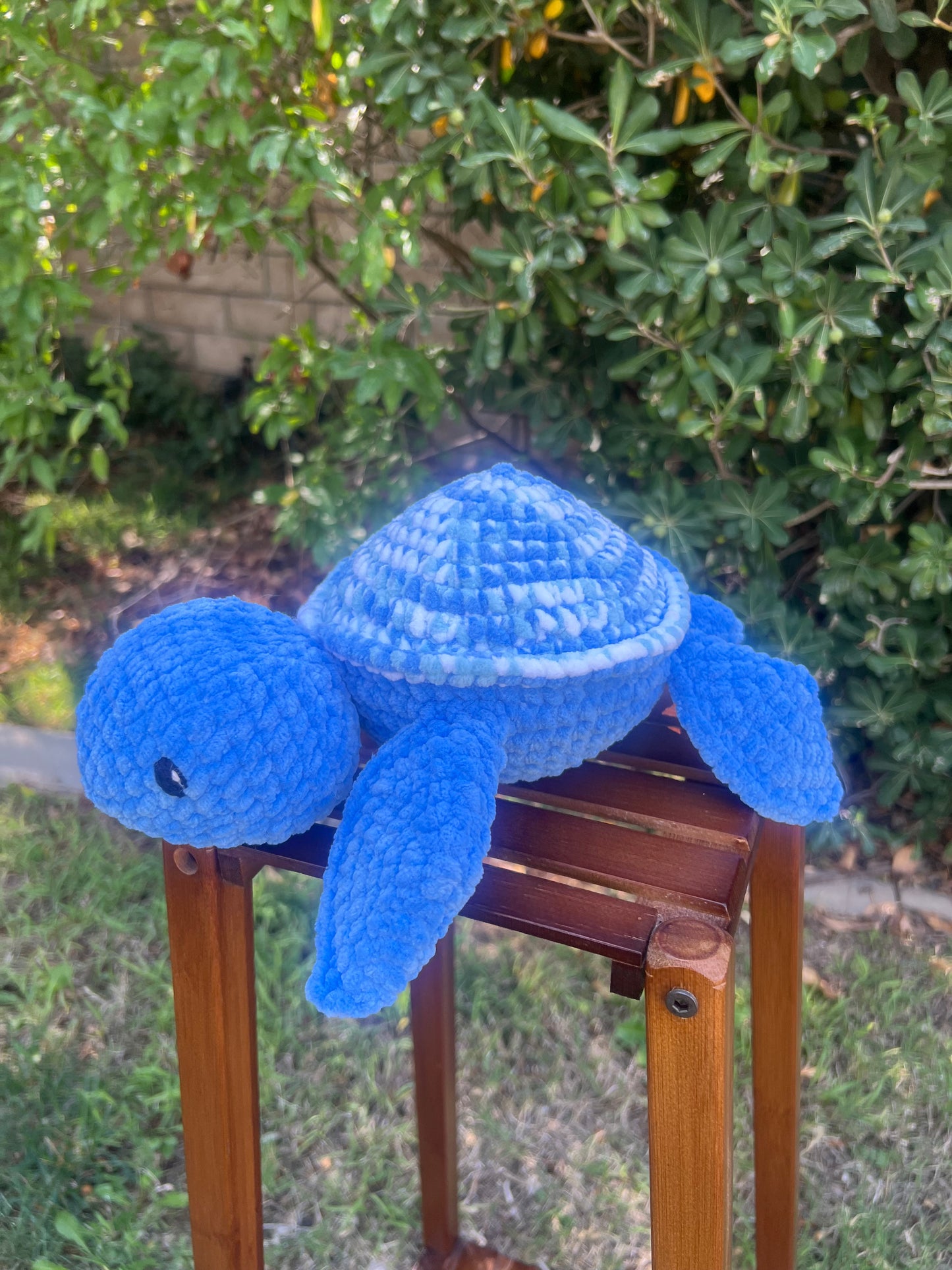 Turtle