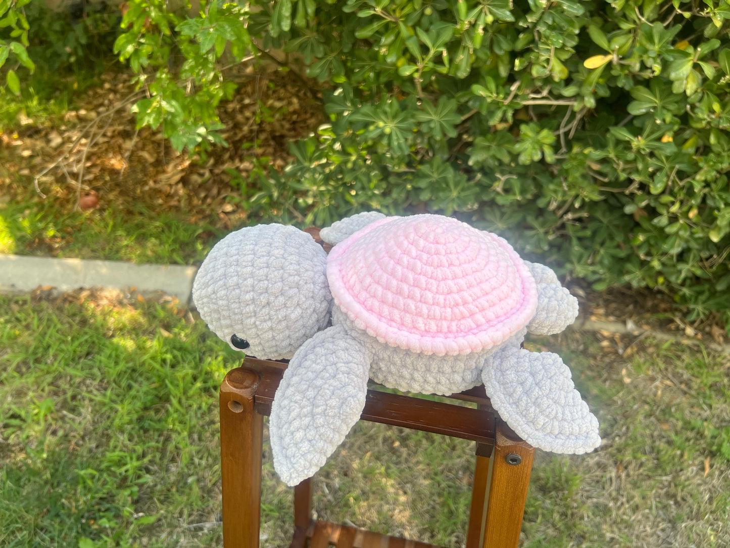 Turtle