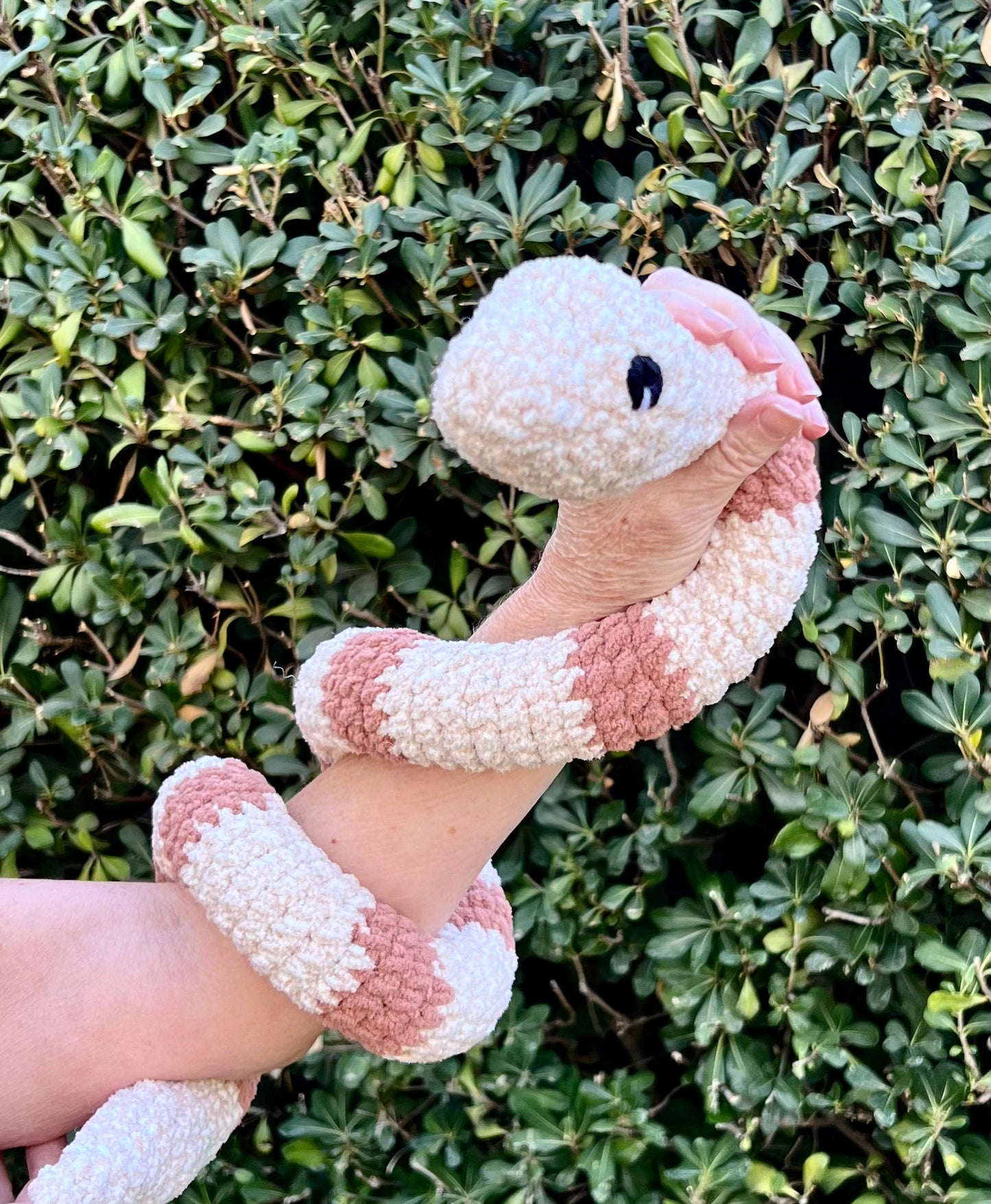 Snake - Large