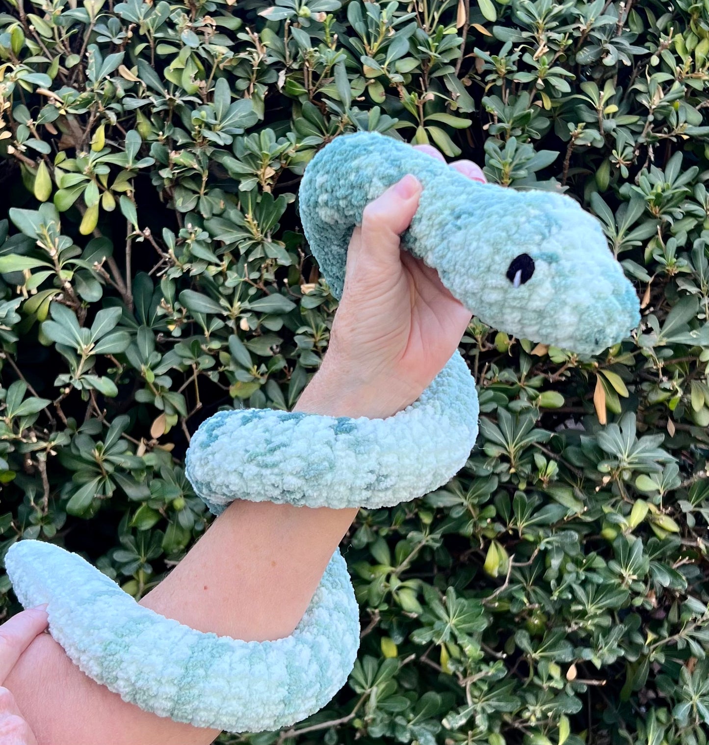 Snake - Large