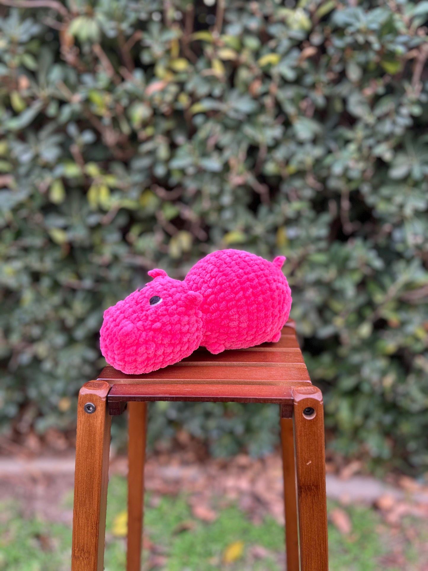 Happy the Hippo
