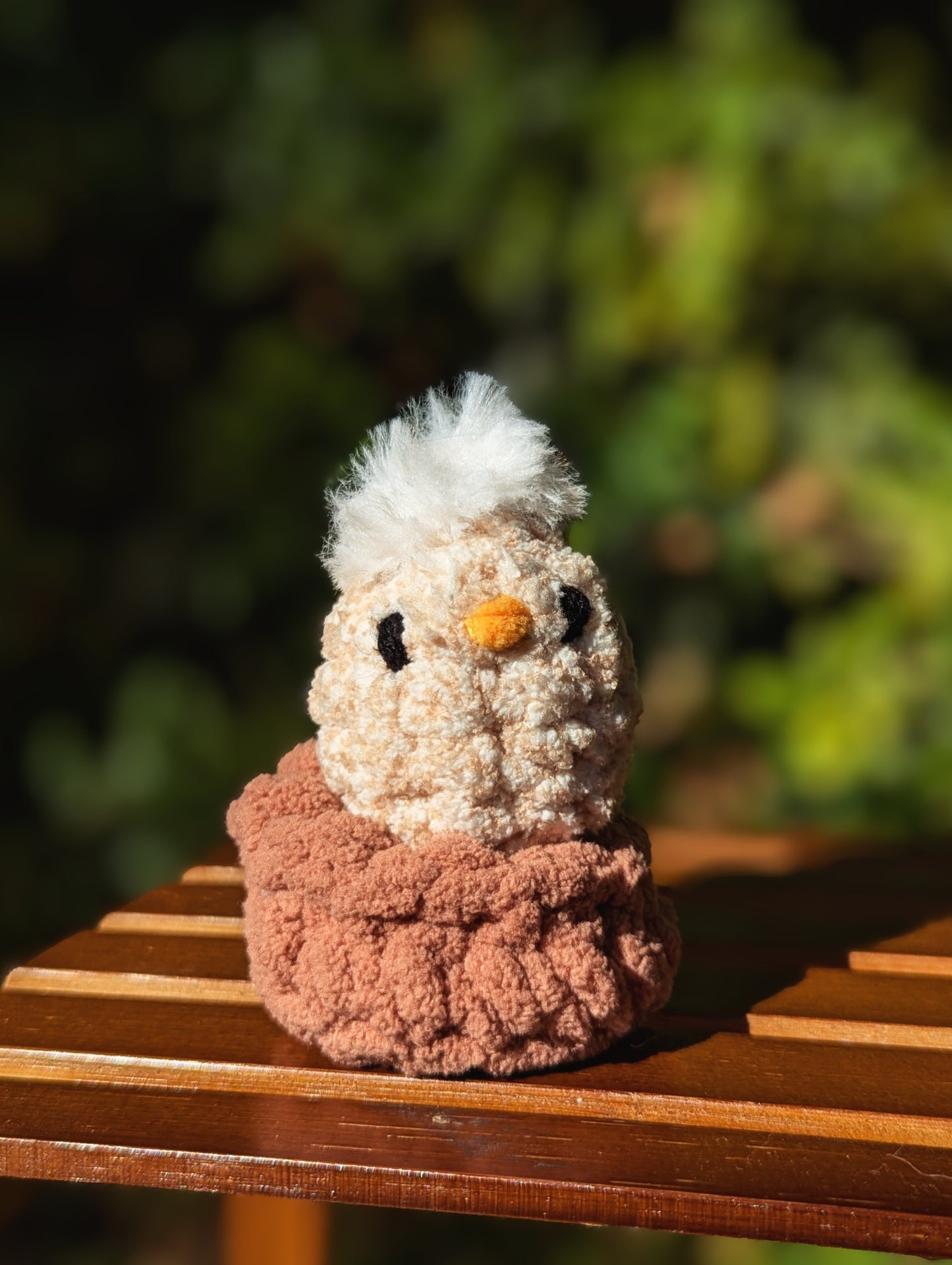 Baby Chick with or without nest