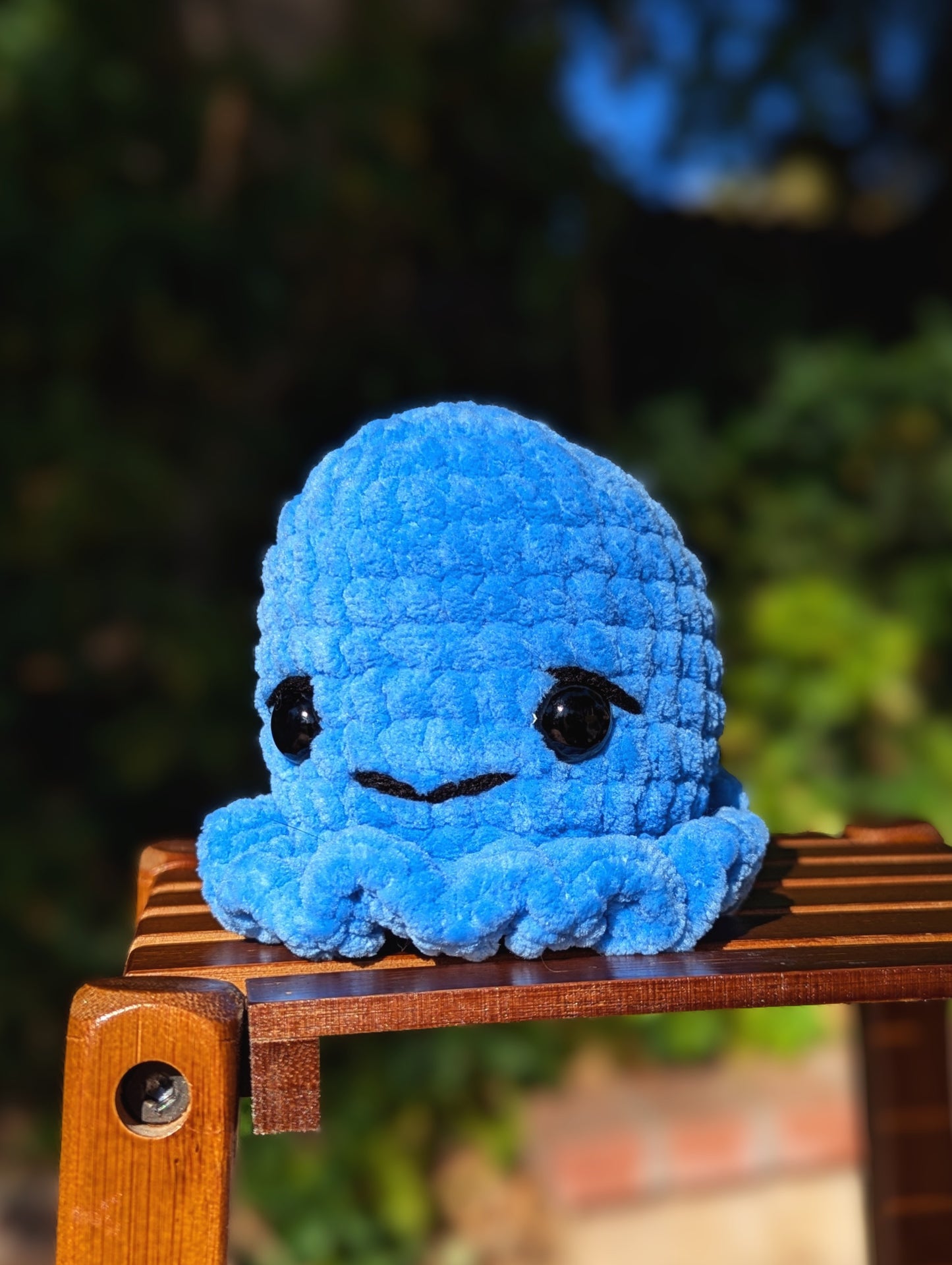 Olive the Octopus