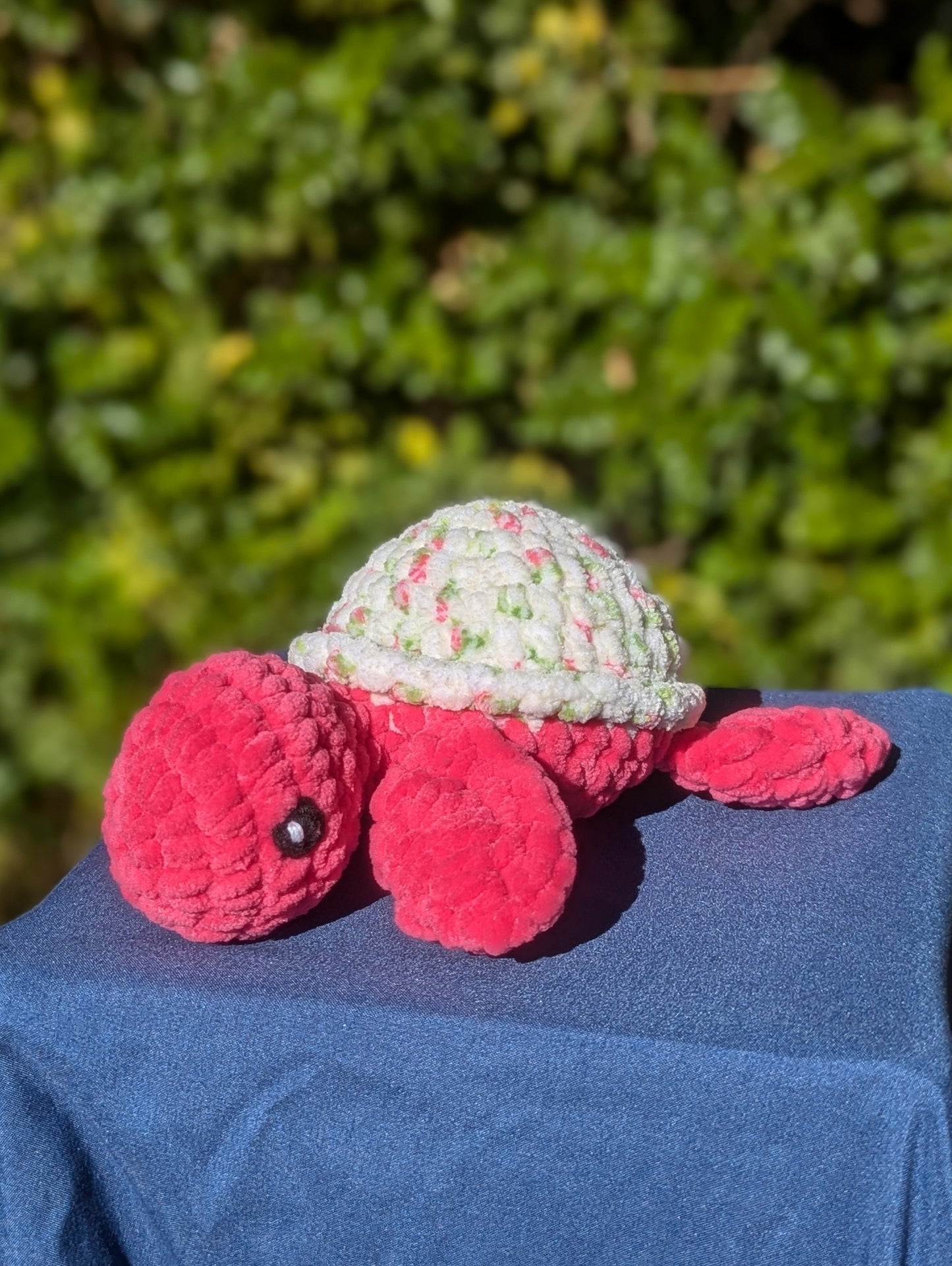 Small Turtle