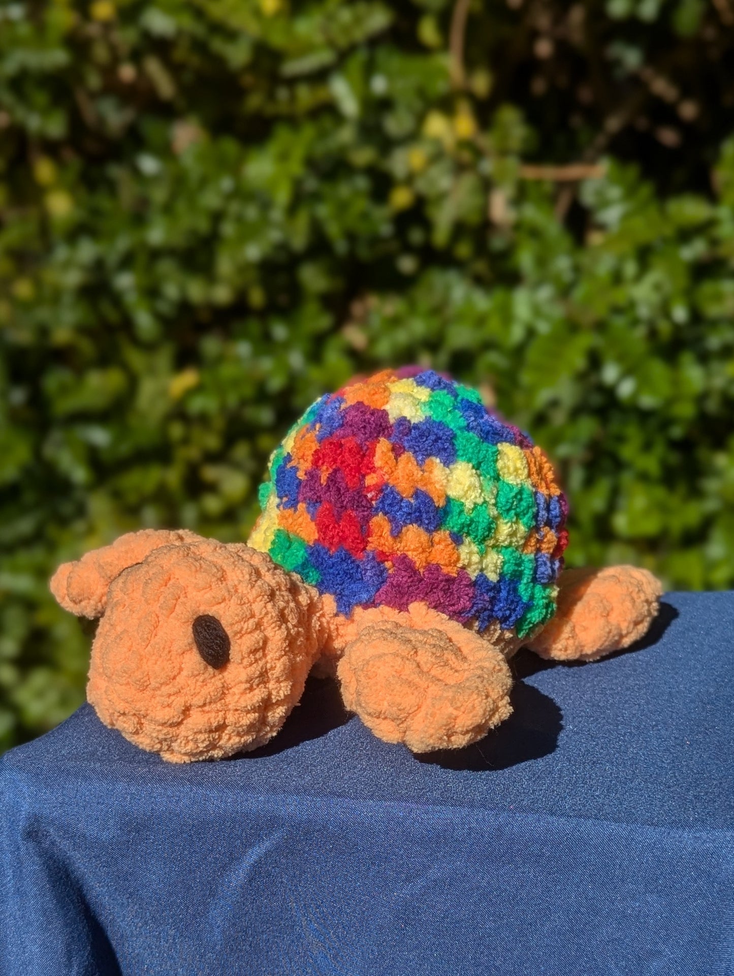 Small Turtle