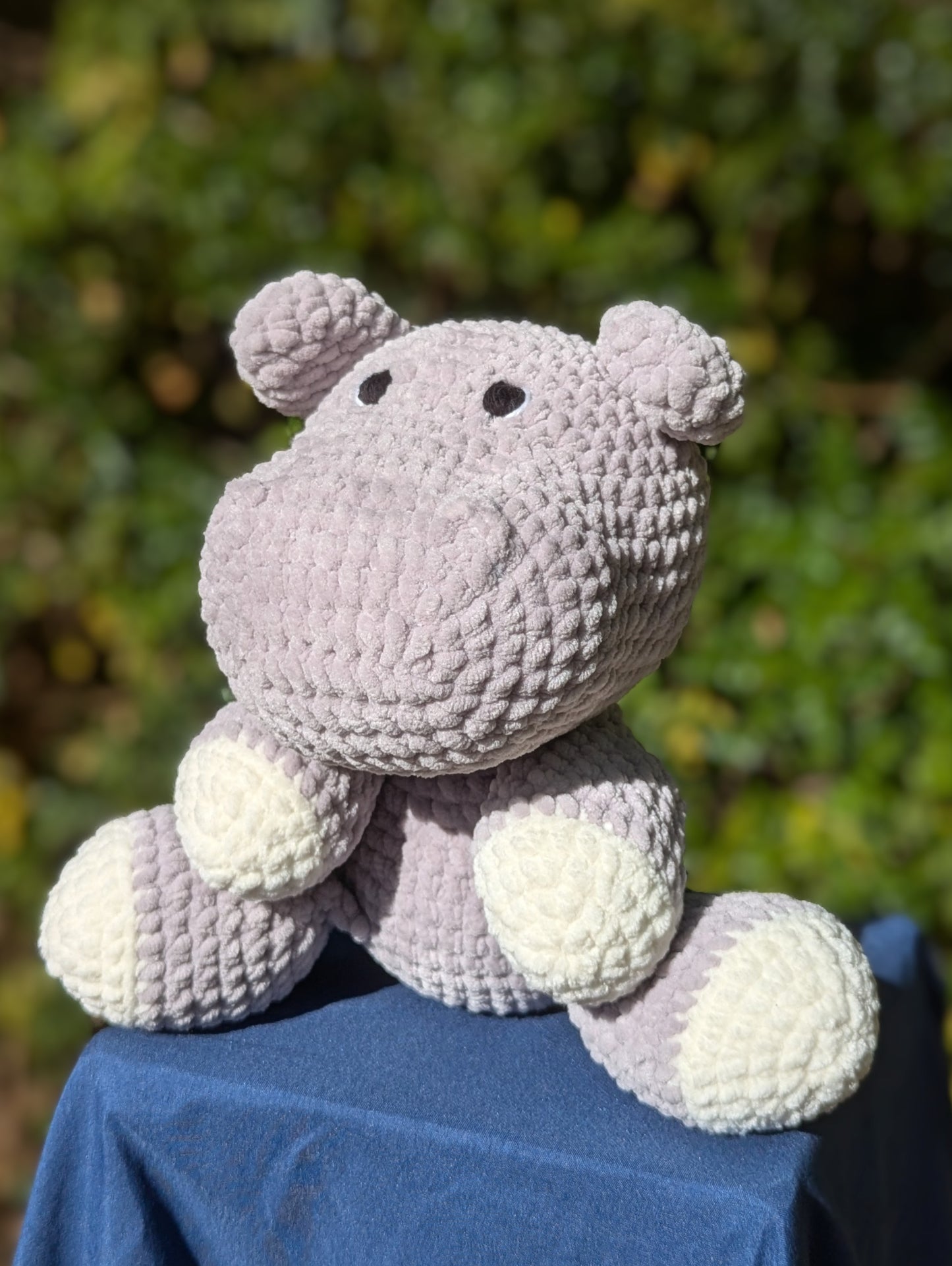 Henry Hippo