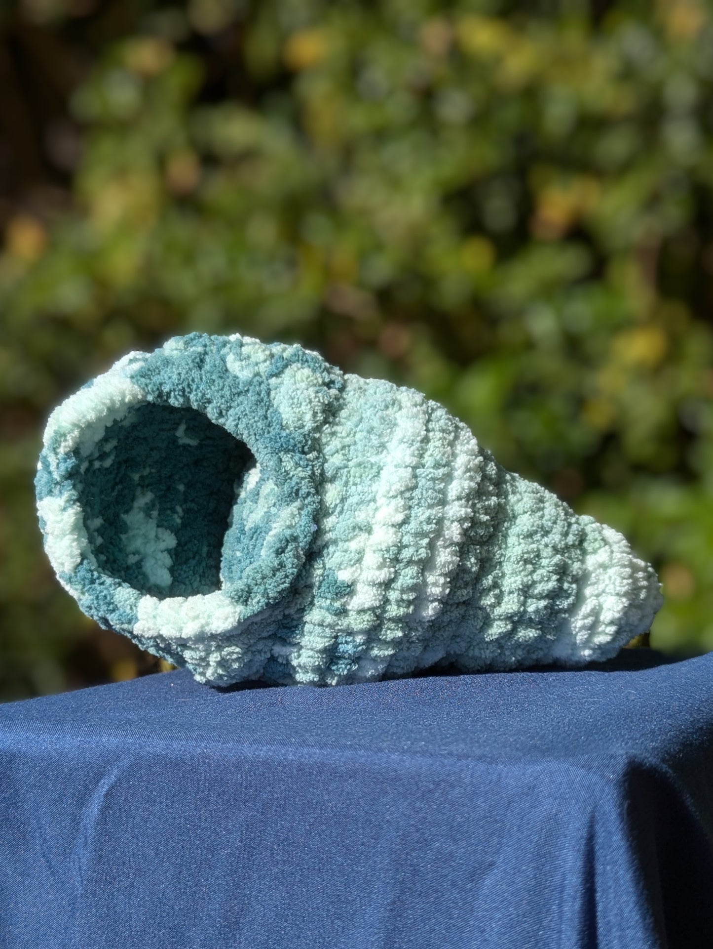 Hermit Crab Shell Only