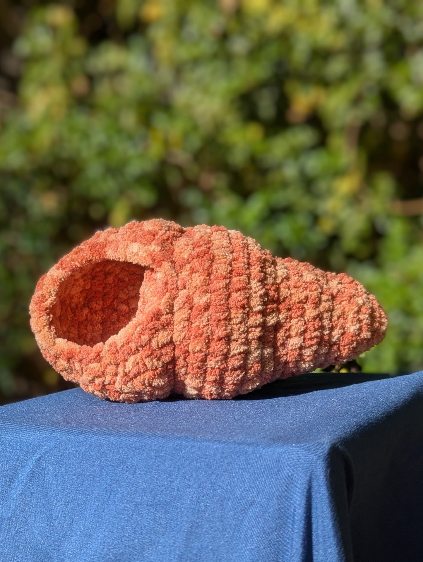 Hermit Crab and Shell