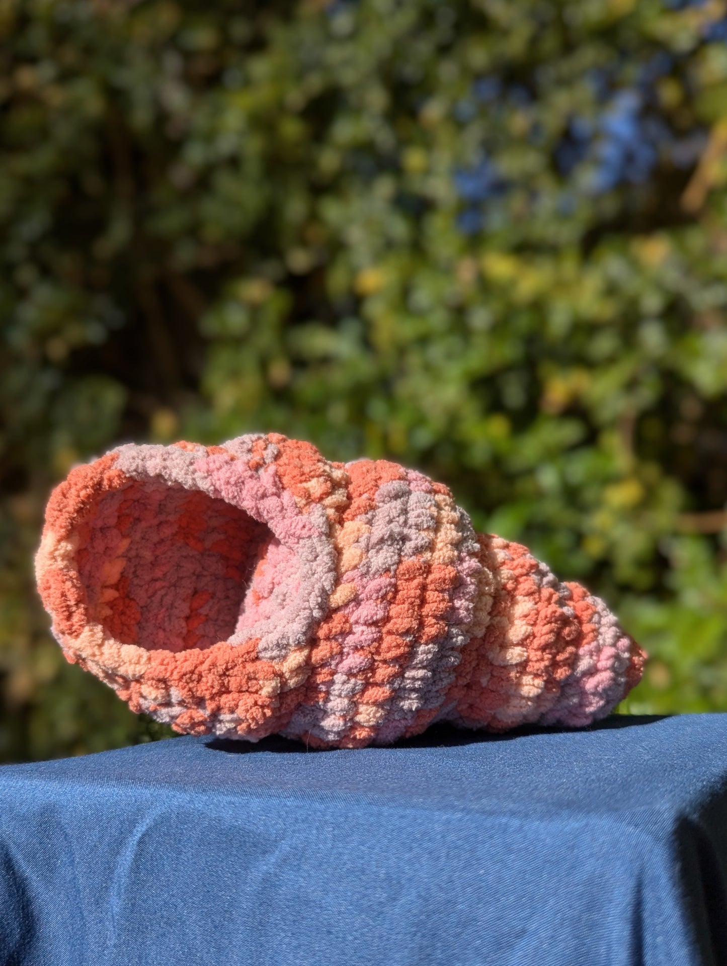 Hermit Crab Shell Only