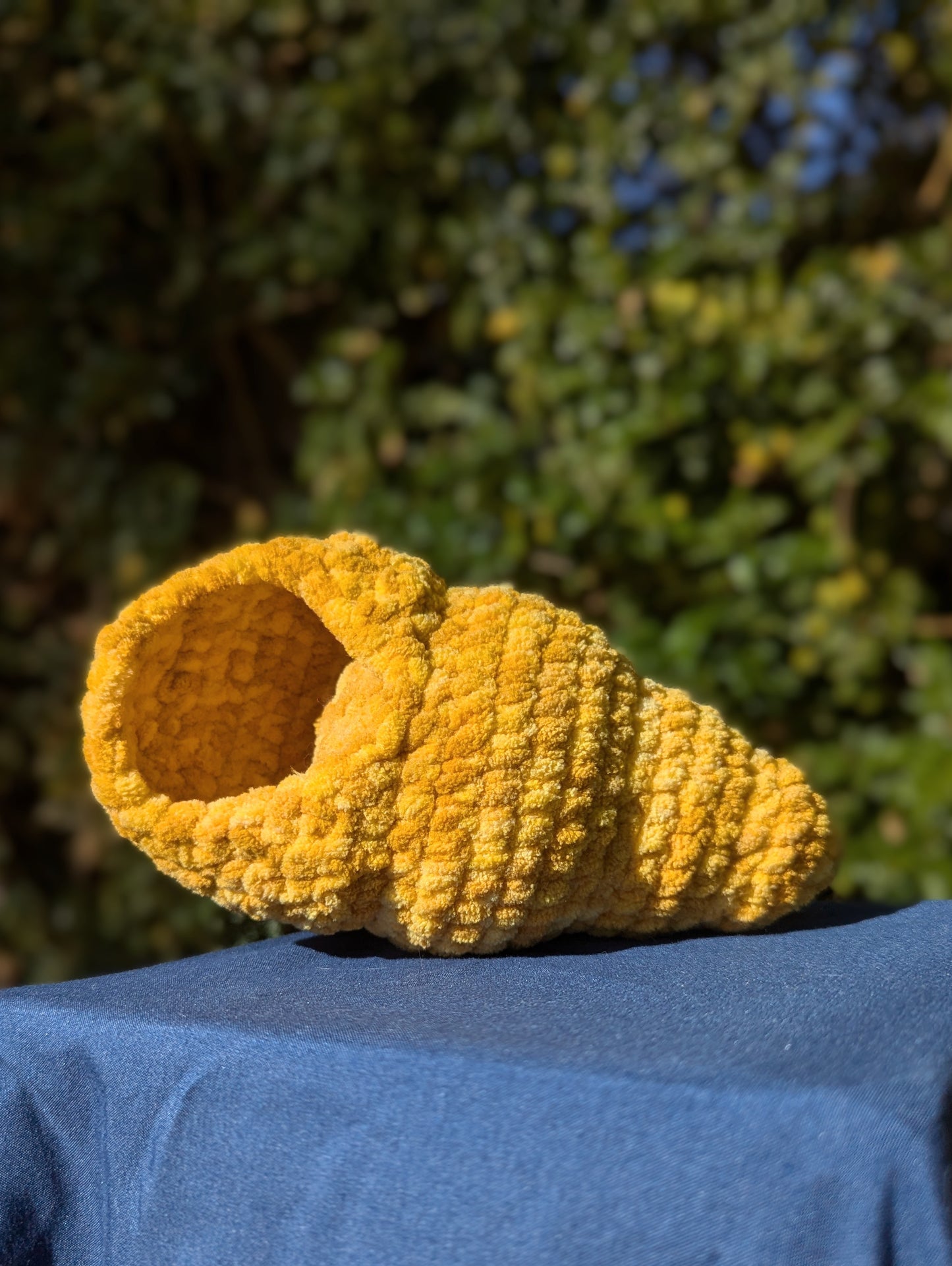 Hermit Crab Shell Only
