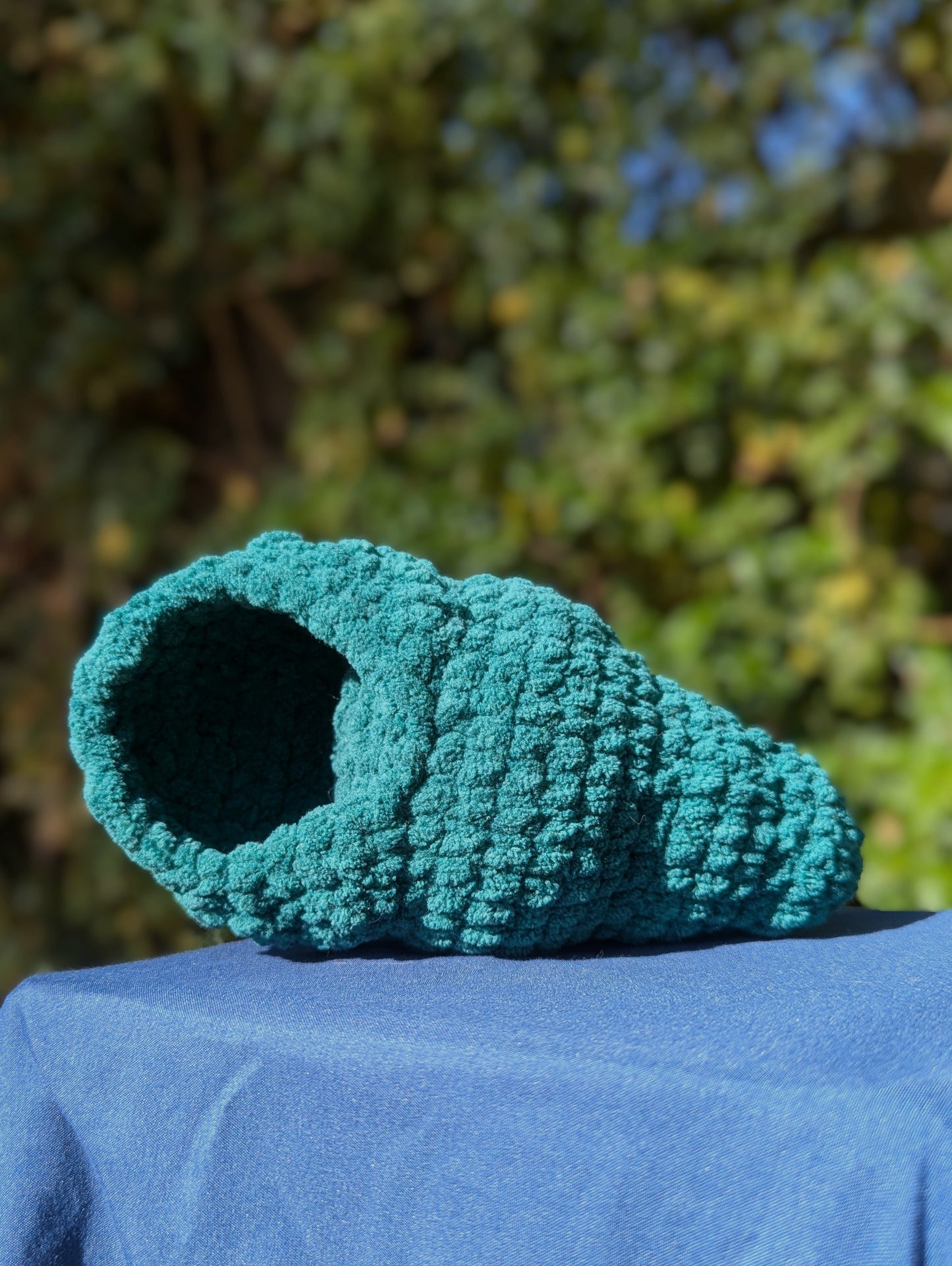Hermit Crab Shell Only