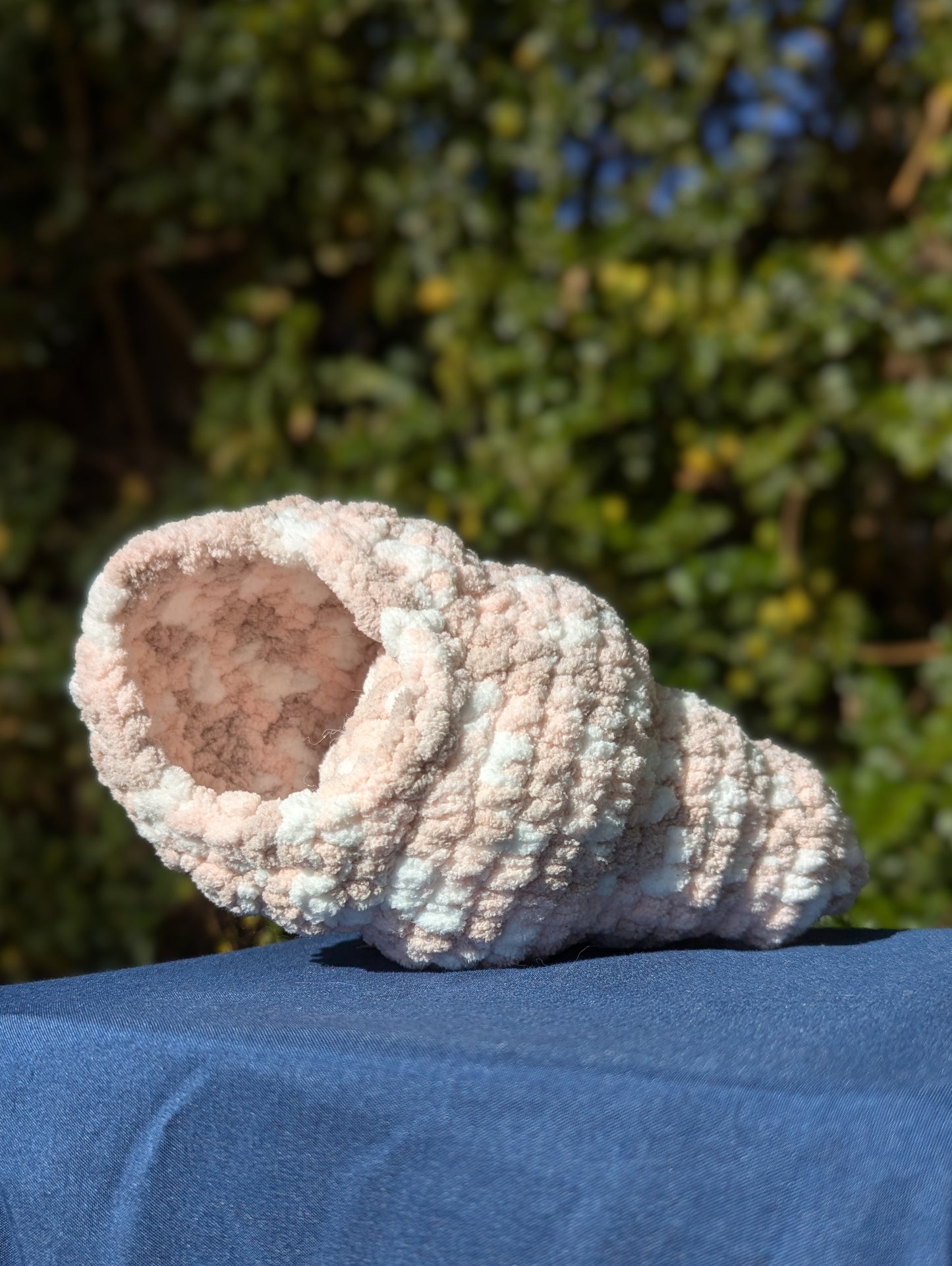 Hermit Crab Shell Only