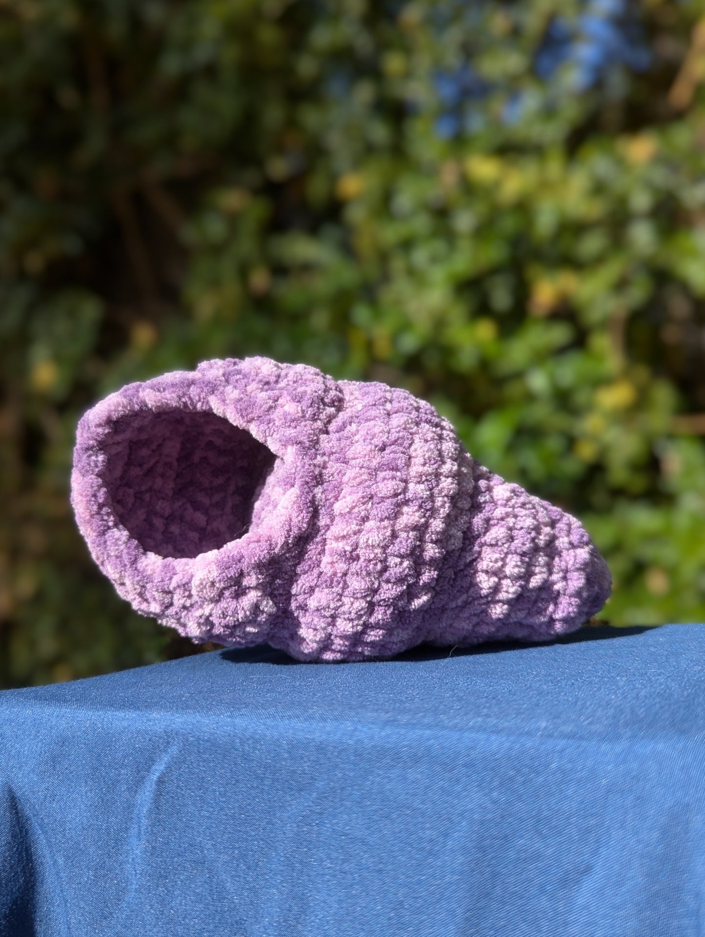 Hermit Crab Shell Only