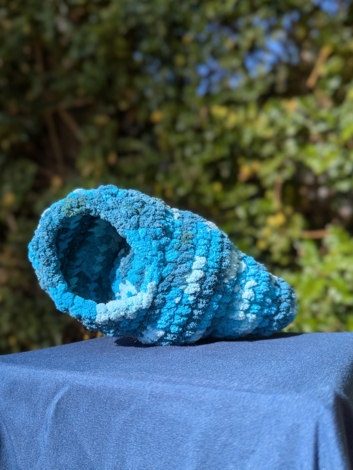 Hermit Crab Shell Only