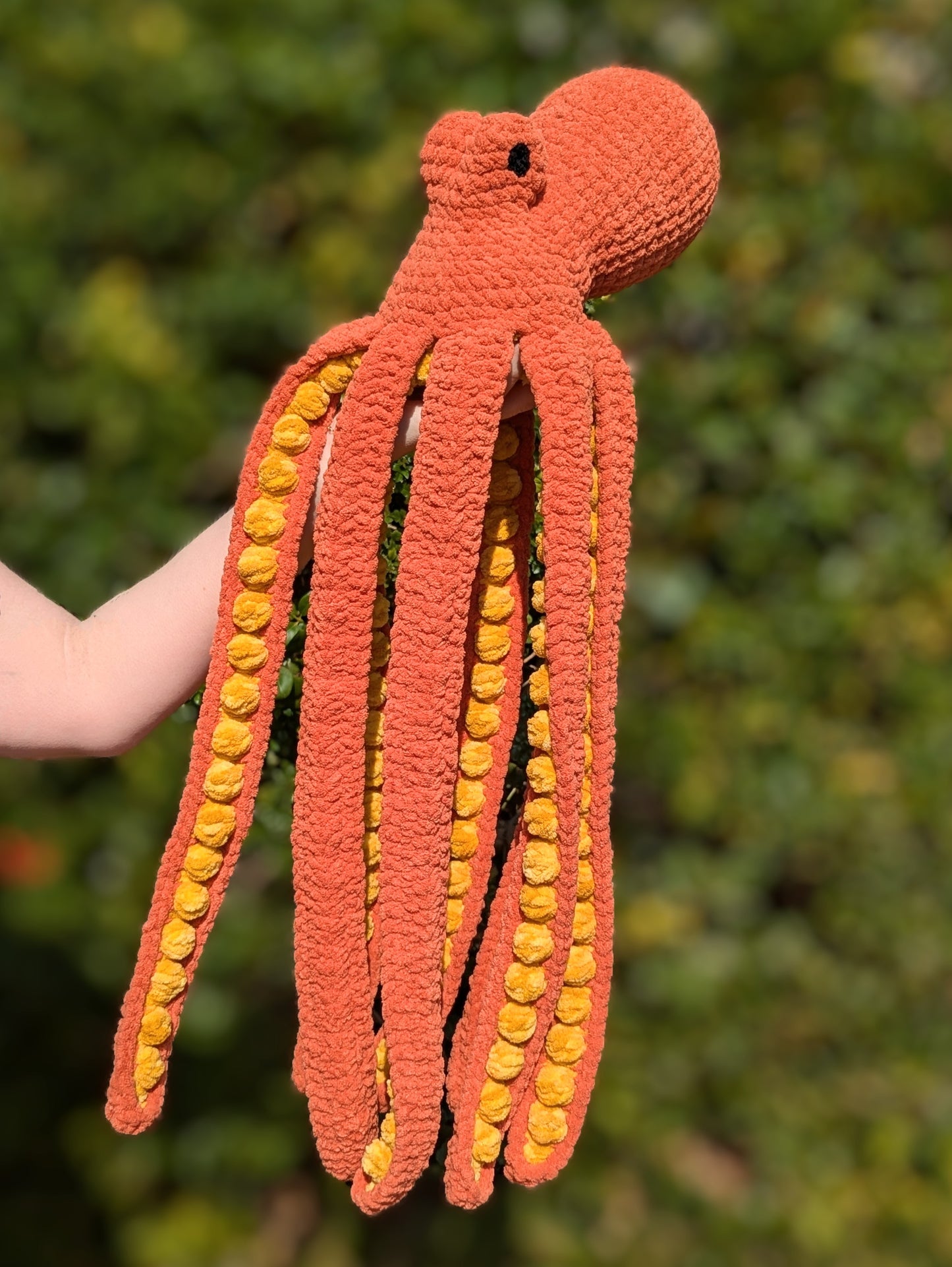 Anchor the Octopus