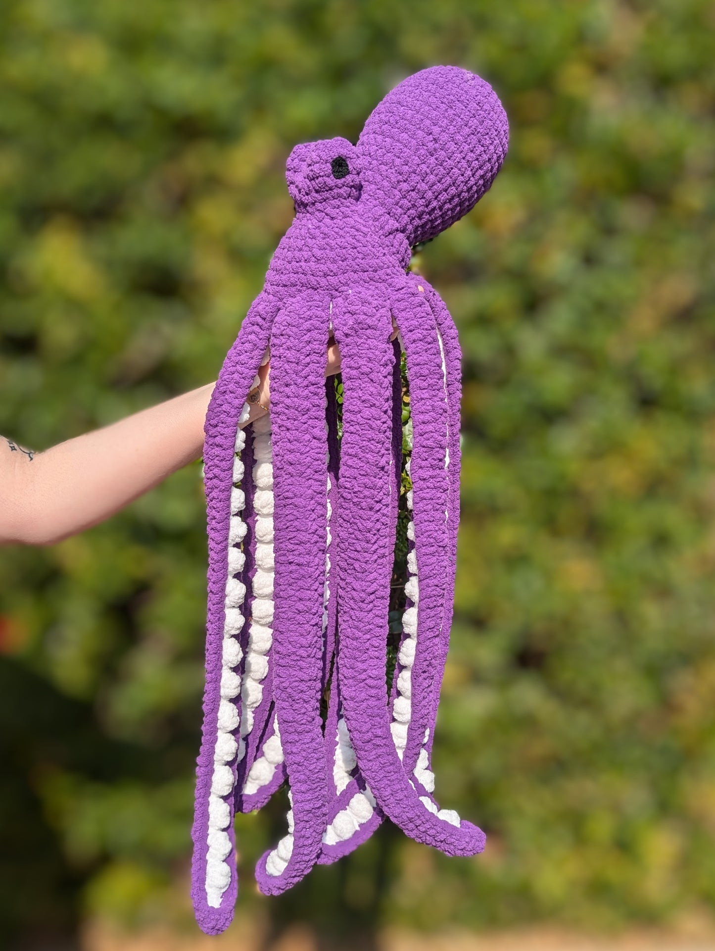 Anchor the Octopus