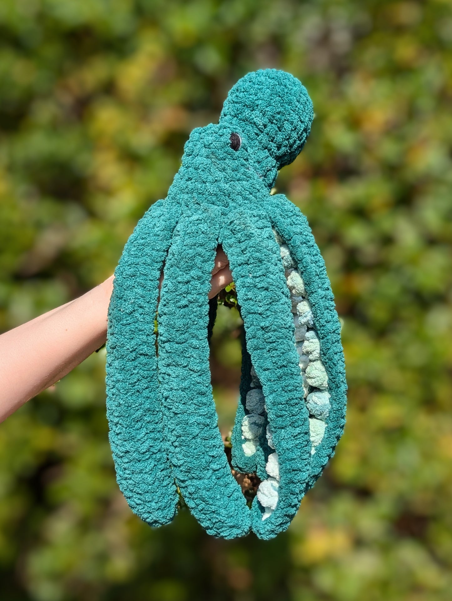 Mini Anchor the Octopus